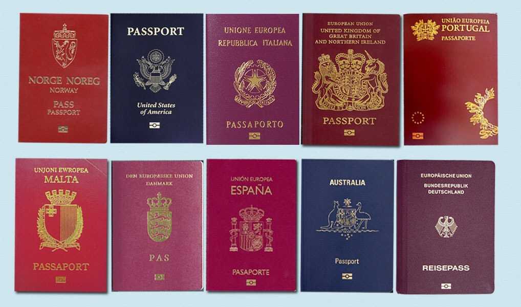 buy real and fake passport